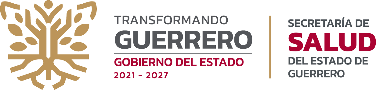 logo-salud-guerrero