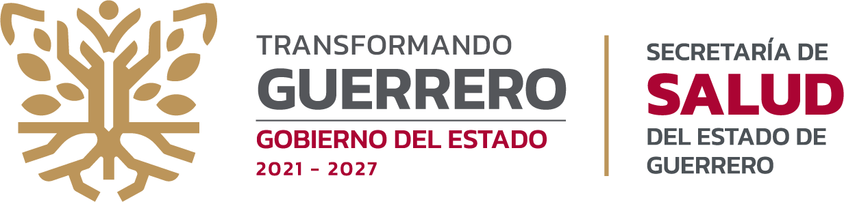 logo-salud-guerrero